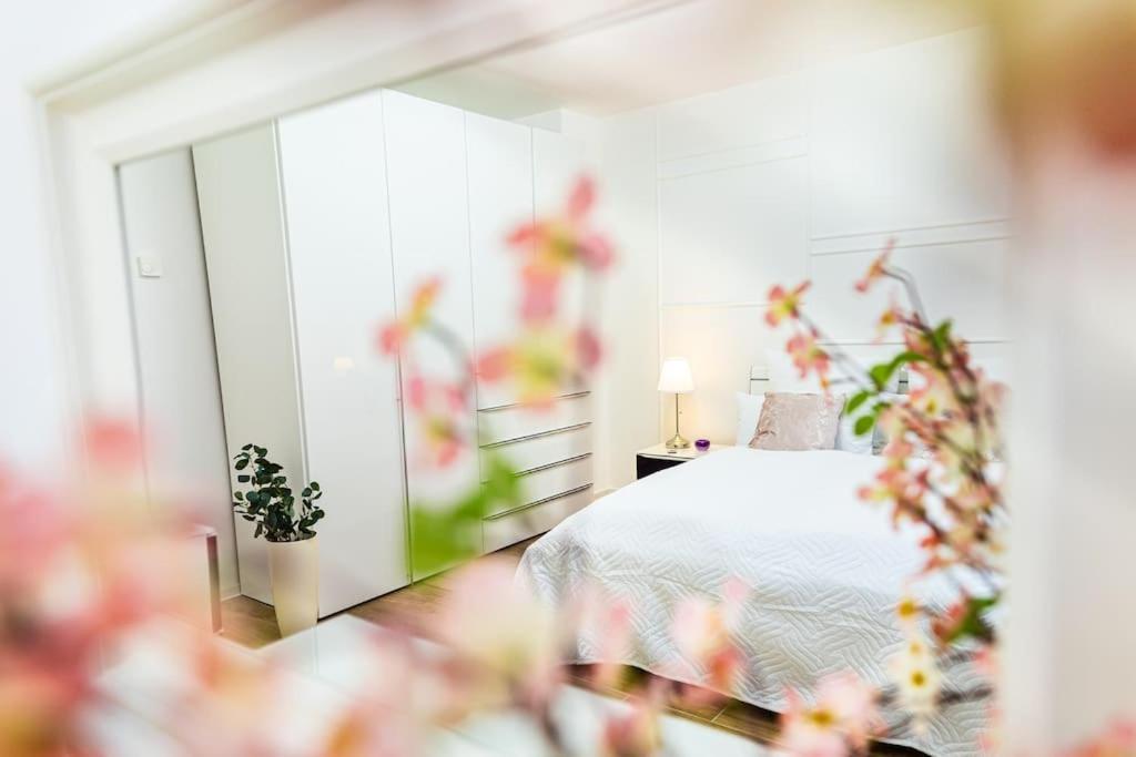 Charmante Wohnung In Koblenzer Innenstadt 科布倫茨 外观 照片